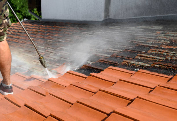 Best Deck Cleaning Services  in New California, OH